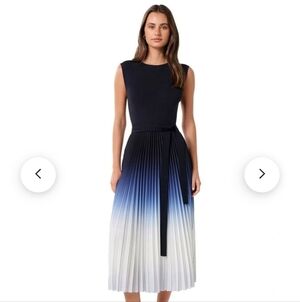 Ever New Navy to White Ombre Pleated Midi Dress